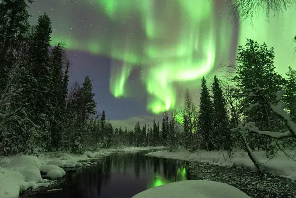 Northern lights over a forest lake in Lapland