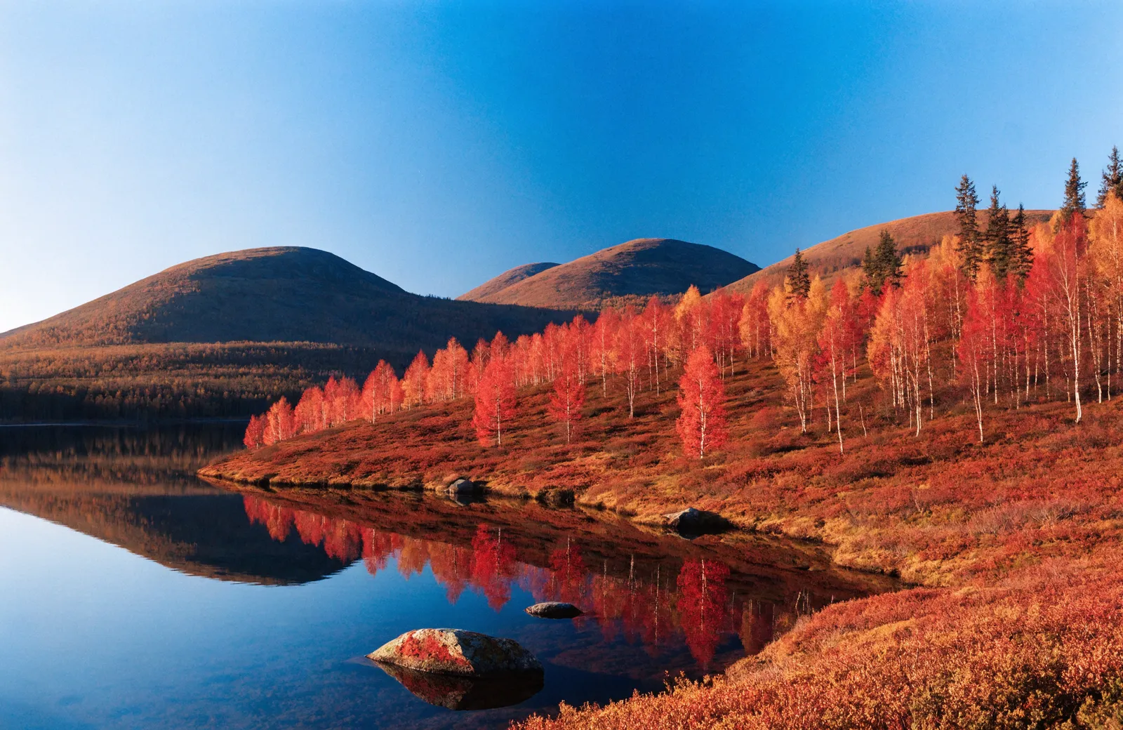 Lapland in September – What to Expect