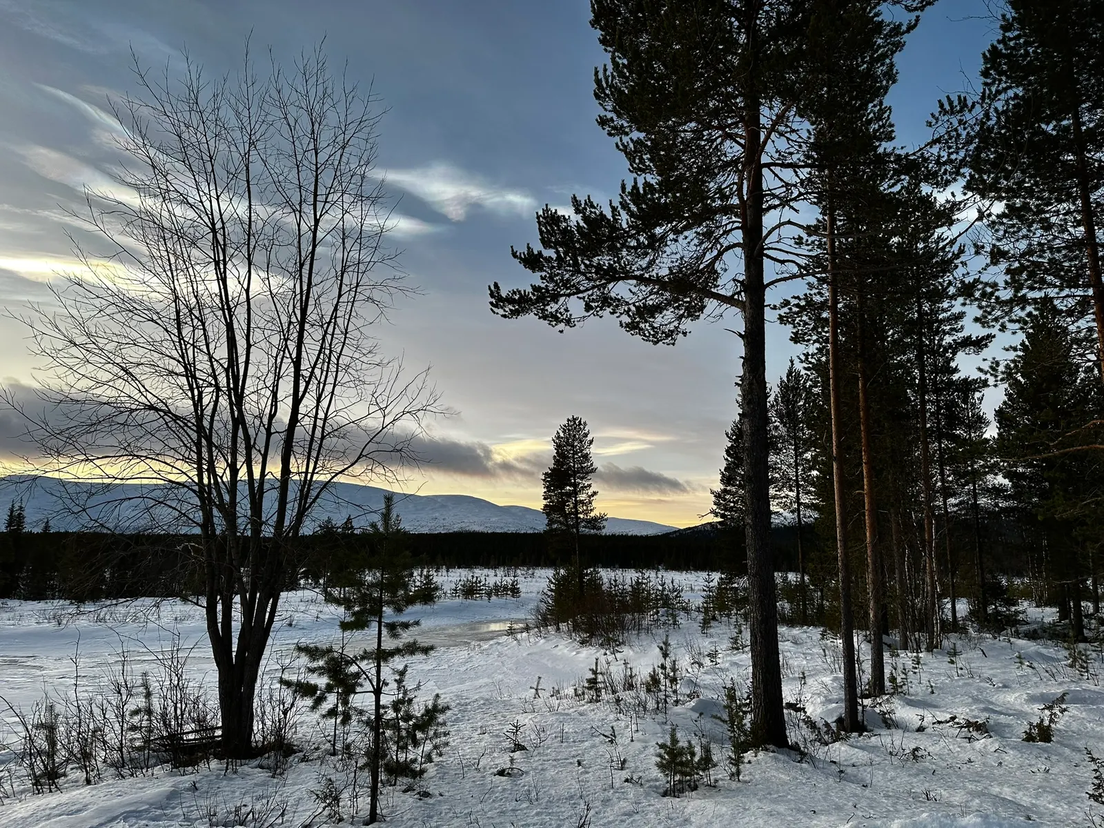 Winter landscape near Villa Lapland