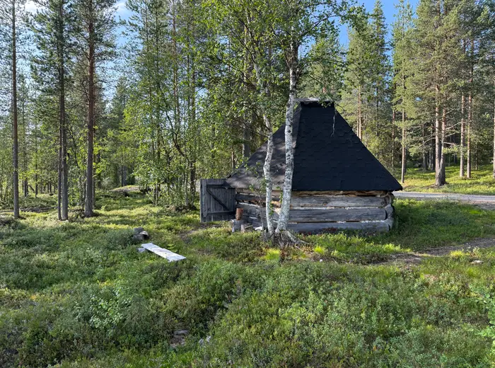 Summer in Lapland