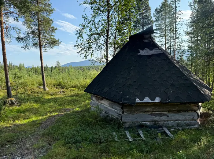 Summer in Lapland