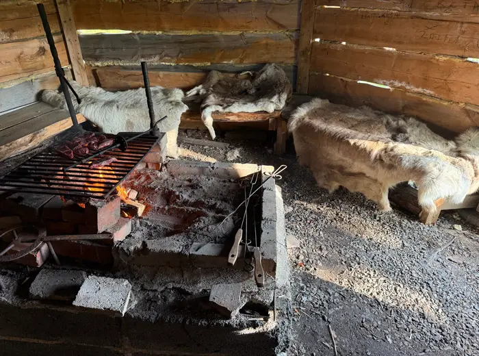 Summer in Lapland