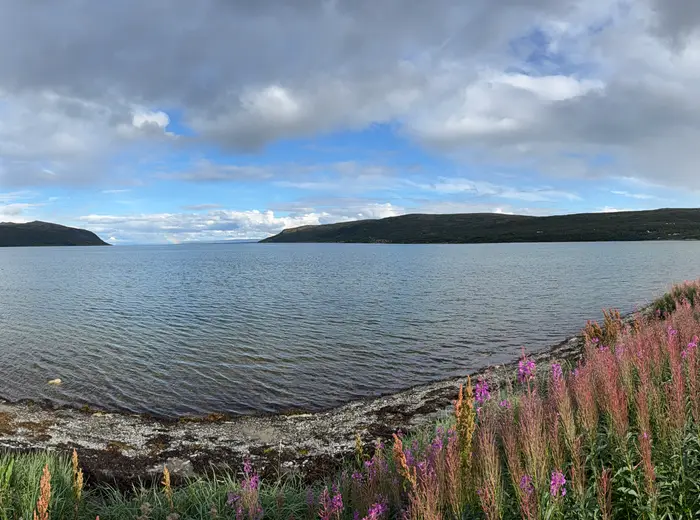Summer in Lapland