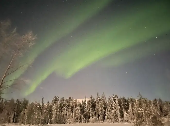 Winter in Lapland