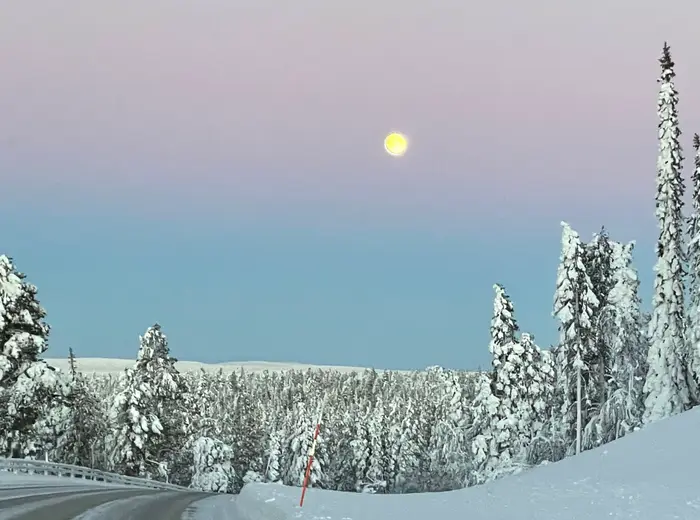 Winter in Lapland