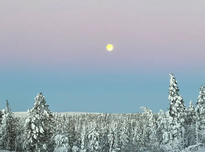 Winter in Lapland