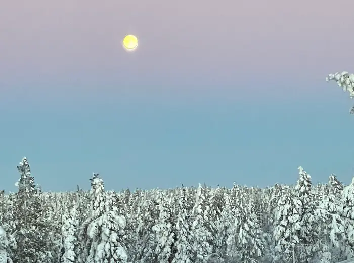 Winter in Lapland