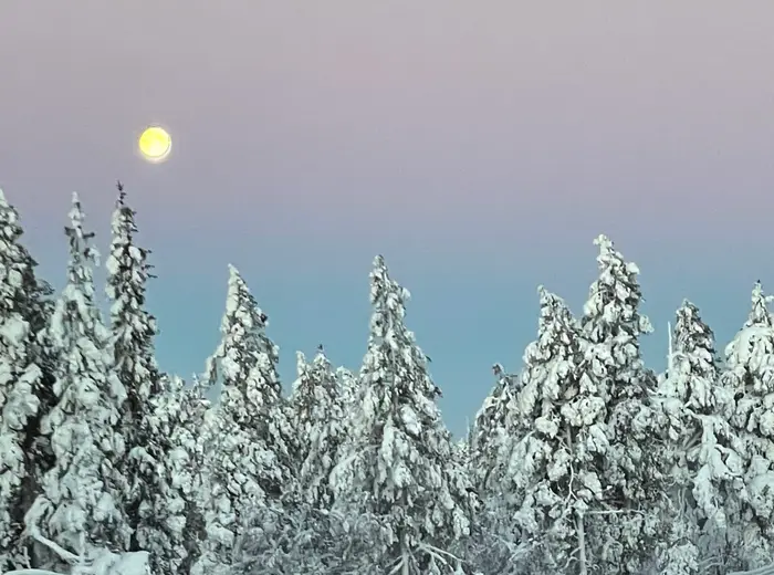 Winter in Lapland
