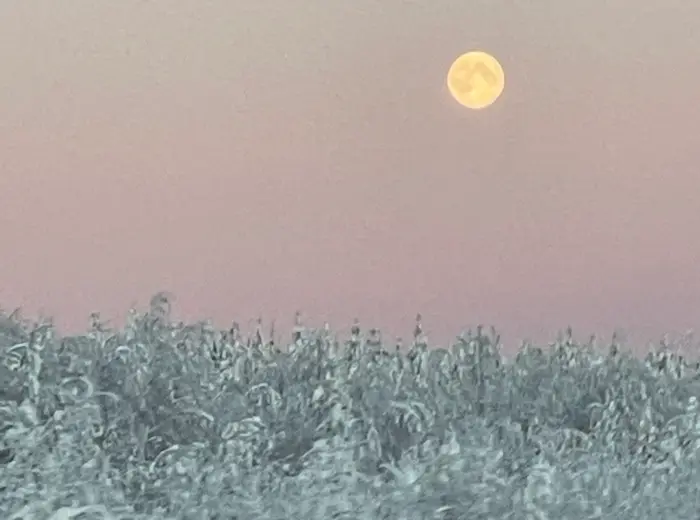 Winter in Lapland