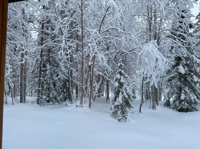 Winter in Lapland