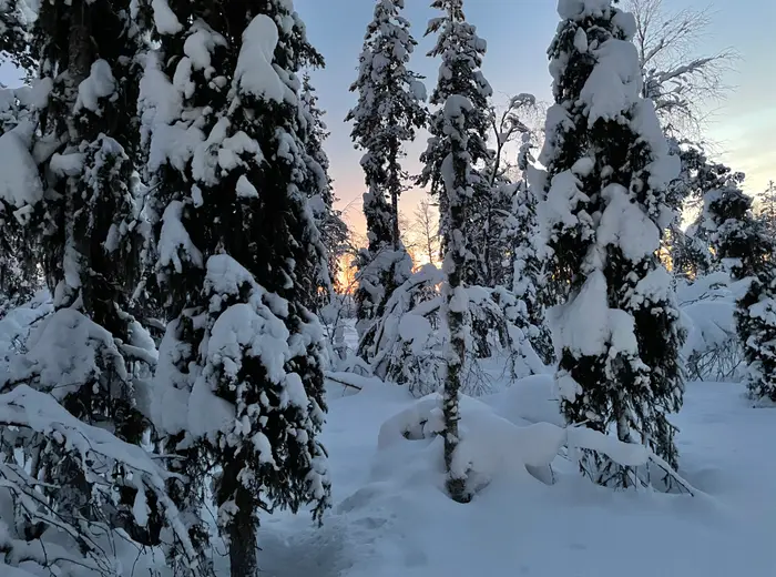 Winter in Lapland