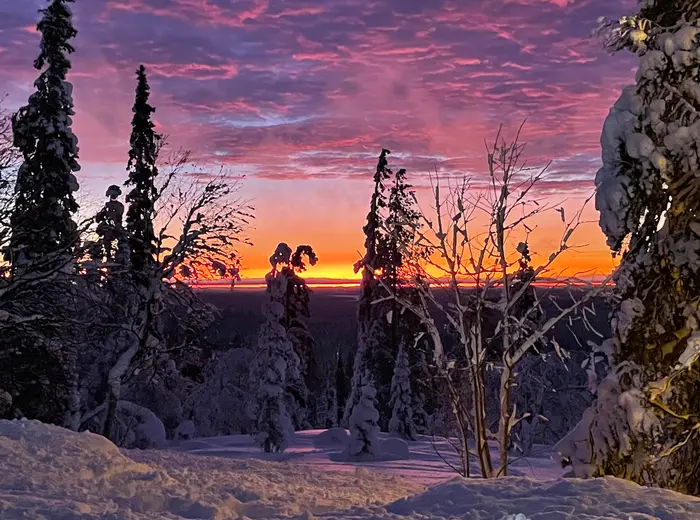 Winter in Lapland