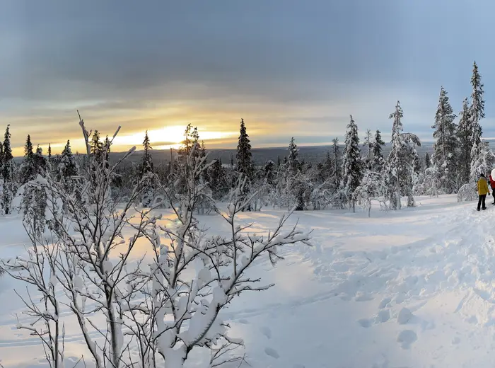 Winter in Lapland