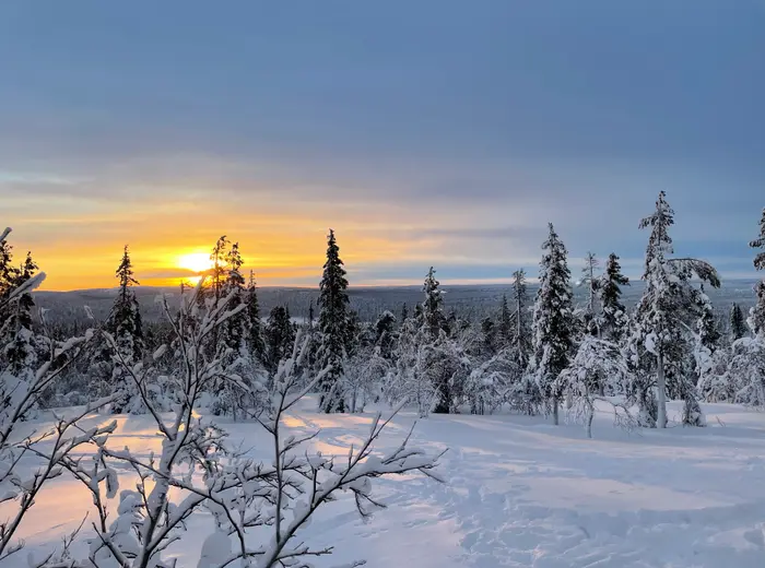 Winter in Lapland