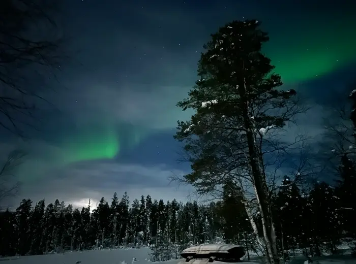 Winter in Lapland
