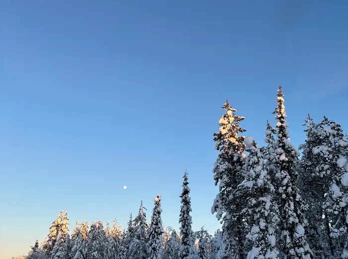 Winter in Lapland