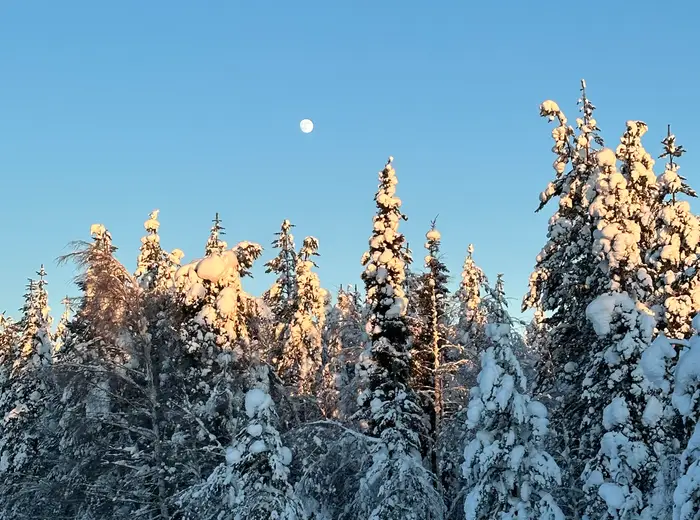Winter in Lapland