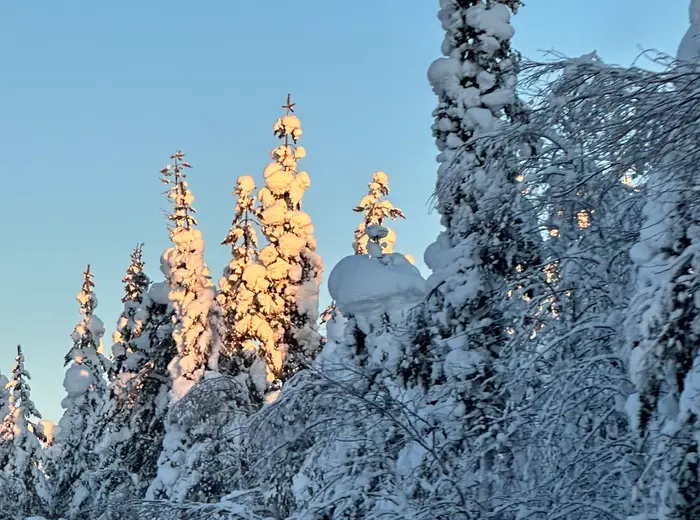 Winter in Lapland