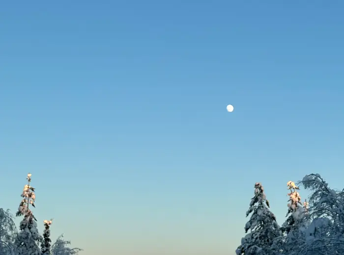 Winter in Lapland