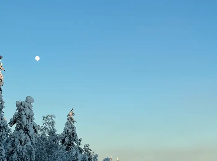 Winter in Lapland