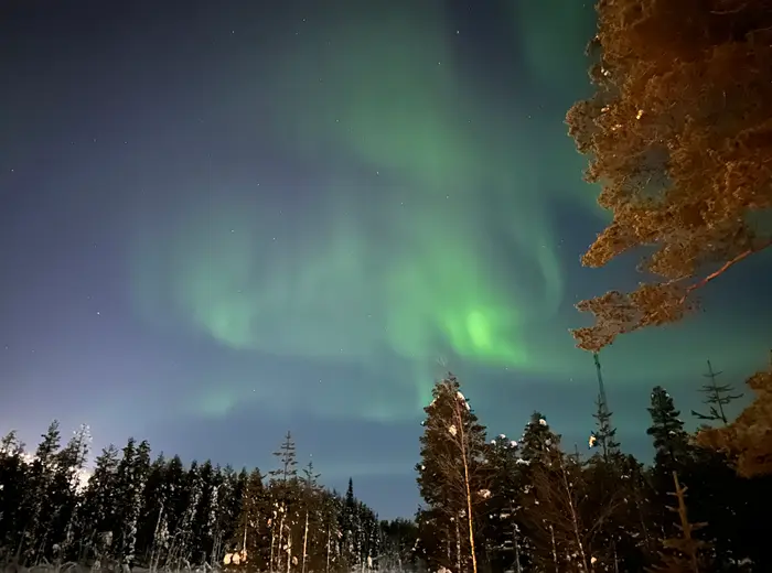 Winter in Lapland