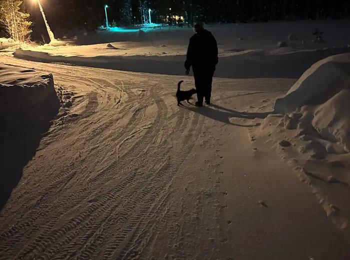 Winter in Lapland