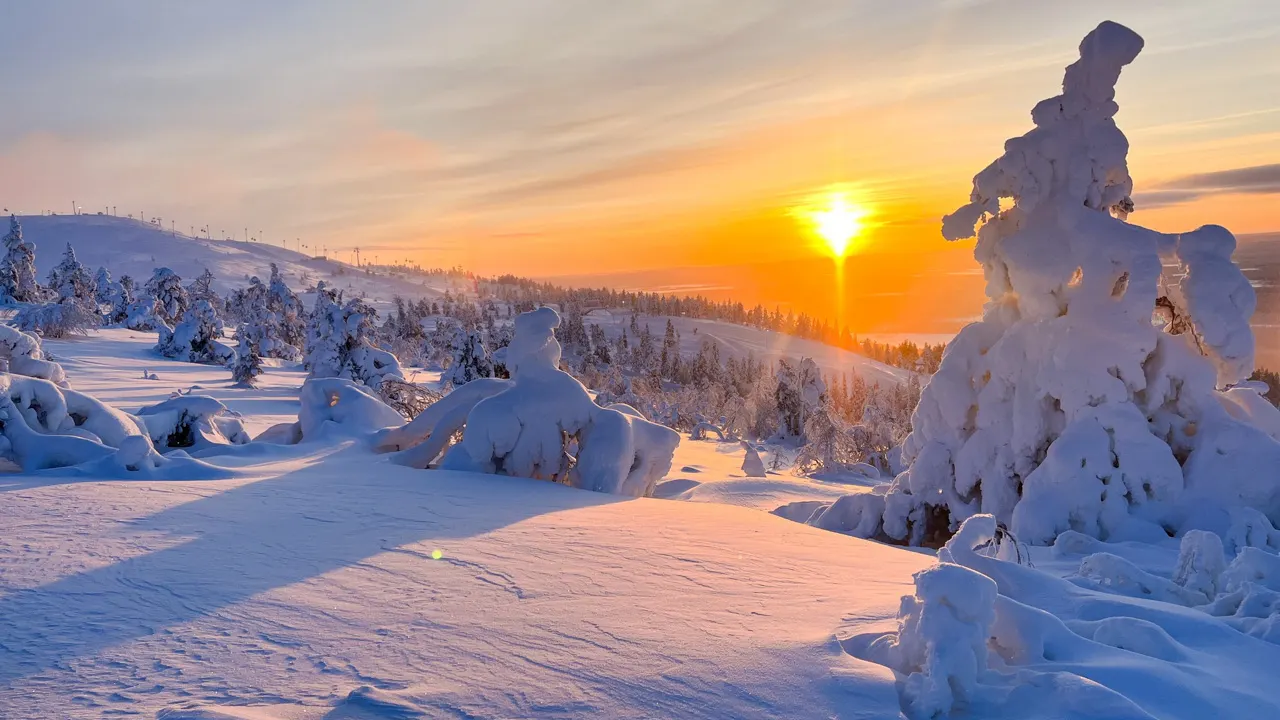Golden winter light near the national park