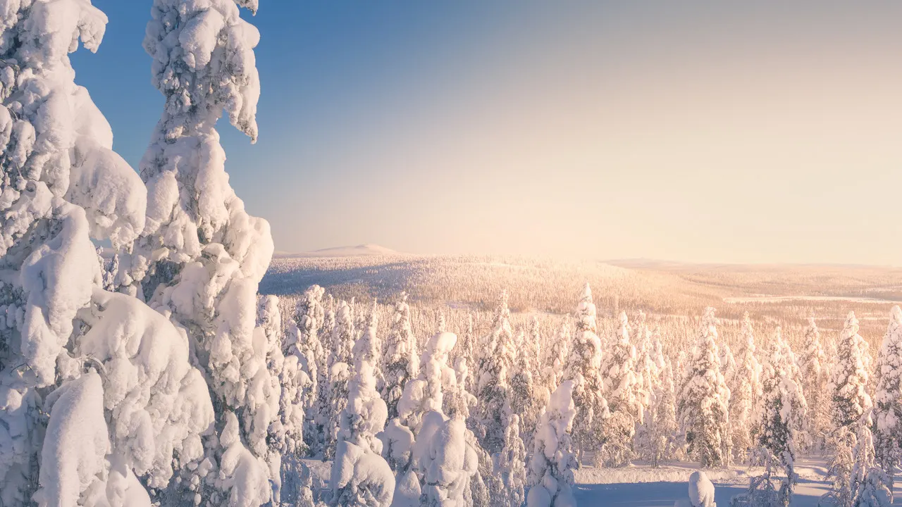 National park landscape